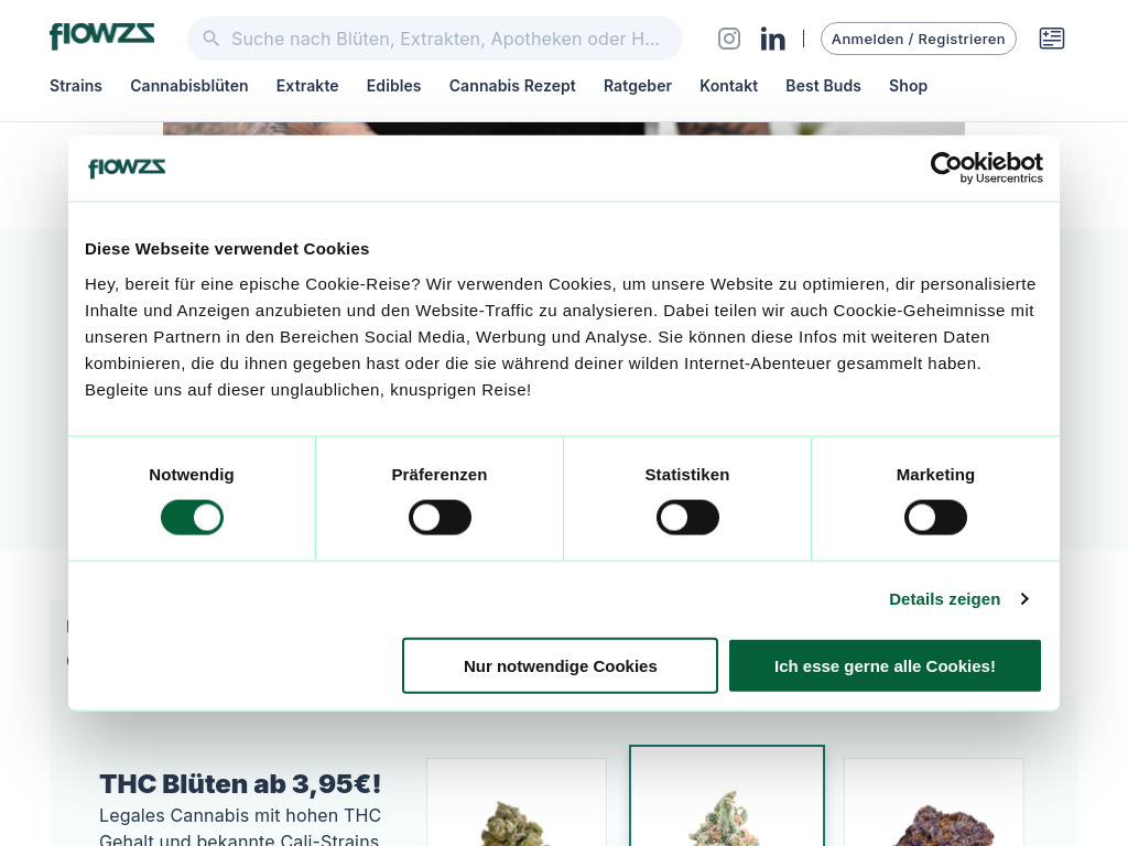 Website von flowzz International Ltd.